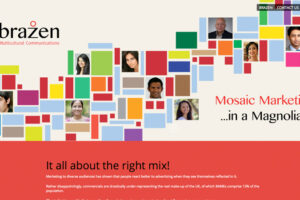 BRAZEN_700x450px BRAZEN_700x450px